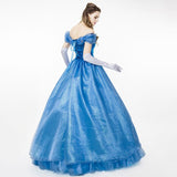 Adult Cinderella Dress Costume