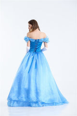 Cinderella Costume Women Fancy Dress For Adults