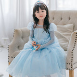 Cinderella Dress for Kids