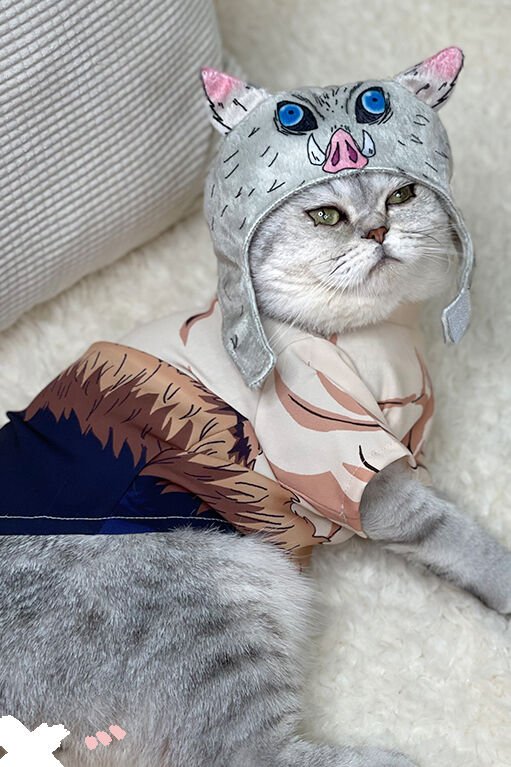 Demon Slayer Inosuke Hashibira Costume For Cats and Small Dogs