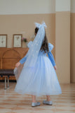 Elsa Dress Up Costume for Girls, Lightup