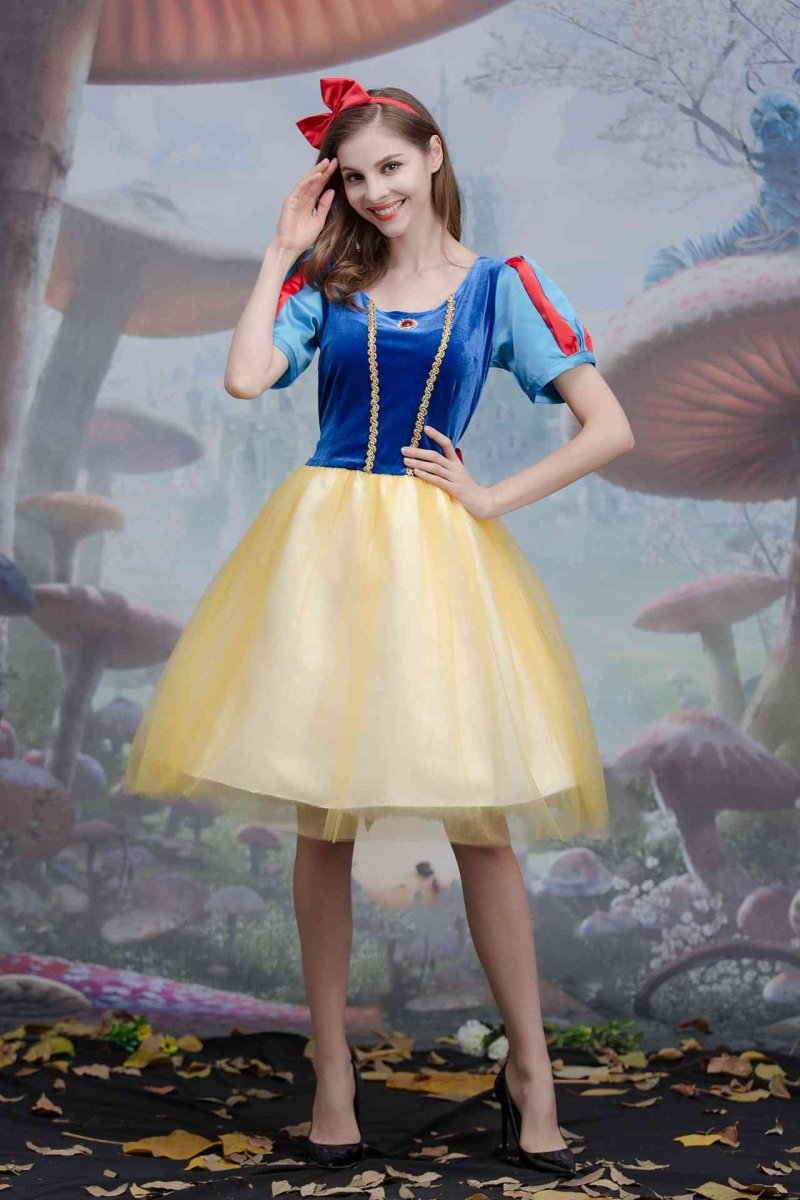 Snow White Princess Dress Halloween Costume for Women/Girls